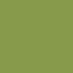 Зеленый киви